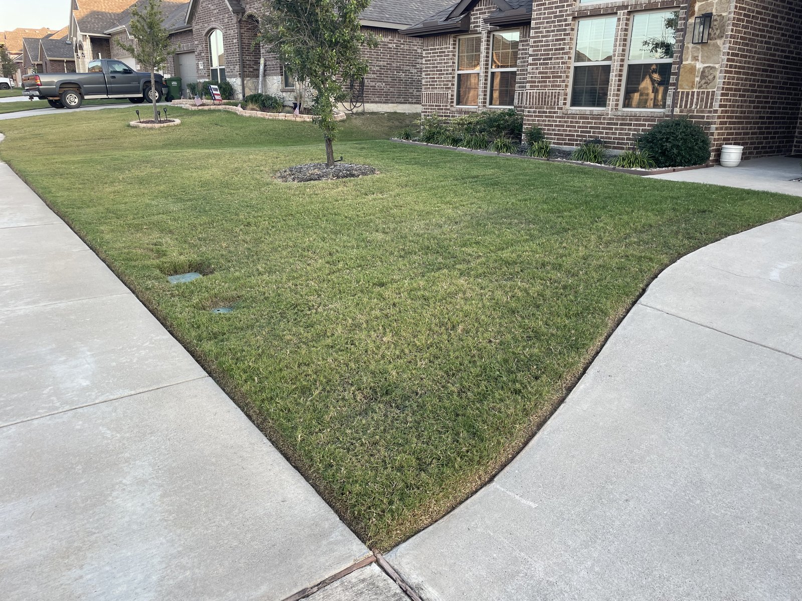 Precision edging along driveway in Denton TX