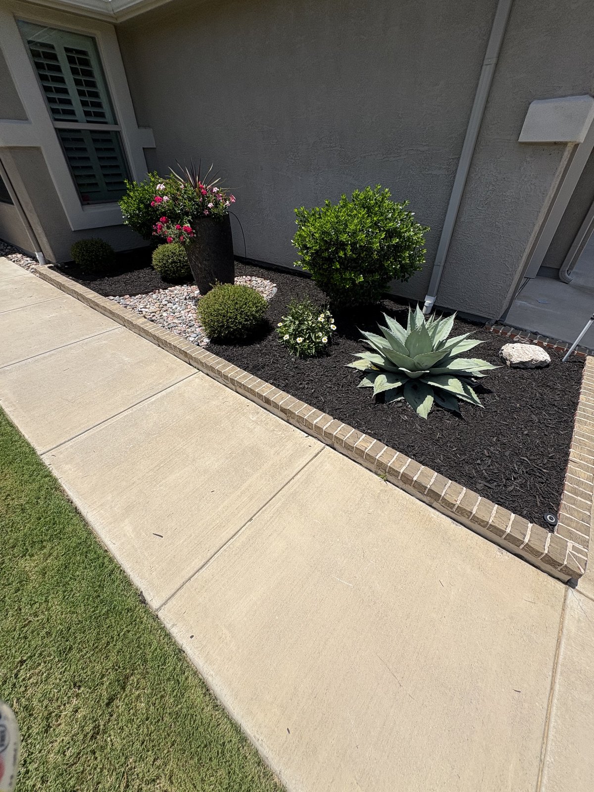 Flowerbed care with agave and shrubs in Denton TX