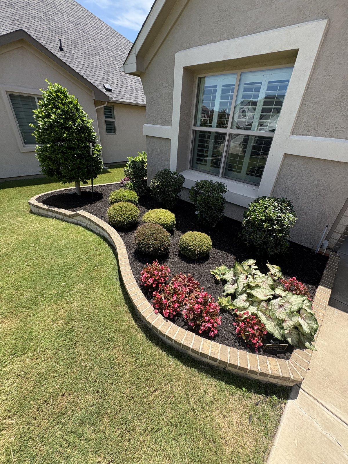 Landscaped flowerbed with shaped shrubs and flowers in Denton TX